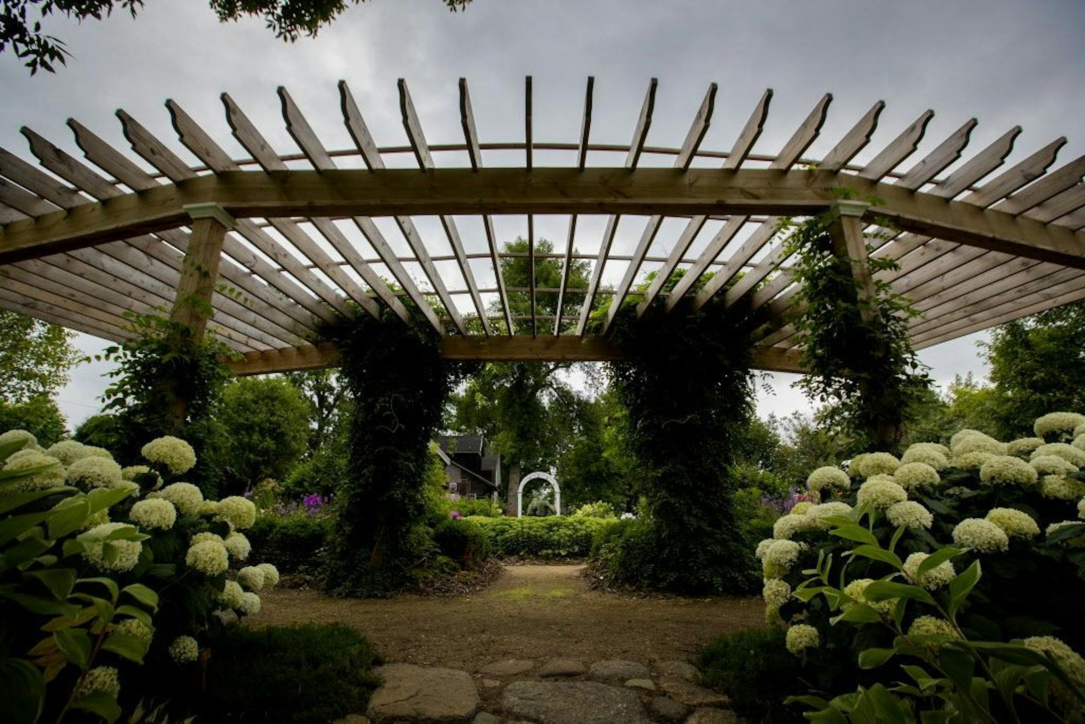 Twining wisteria climbs up a curved pergola, which helps define the sunken garden room.