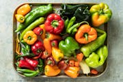 There's a glorious profusion of peppers — plump, sweet bell peppers, tiny, fiery chili peppers, and assorted oblong peppers, with flavors that fall 