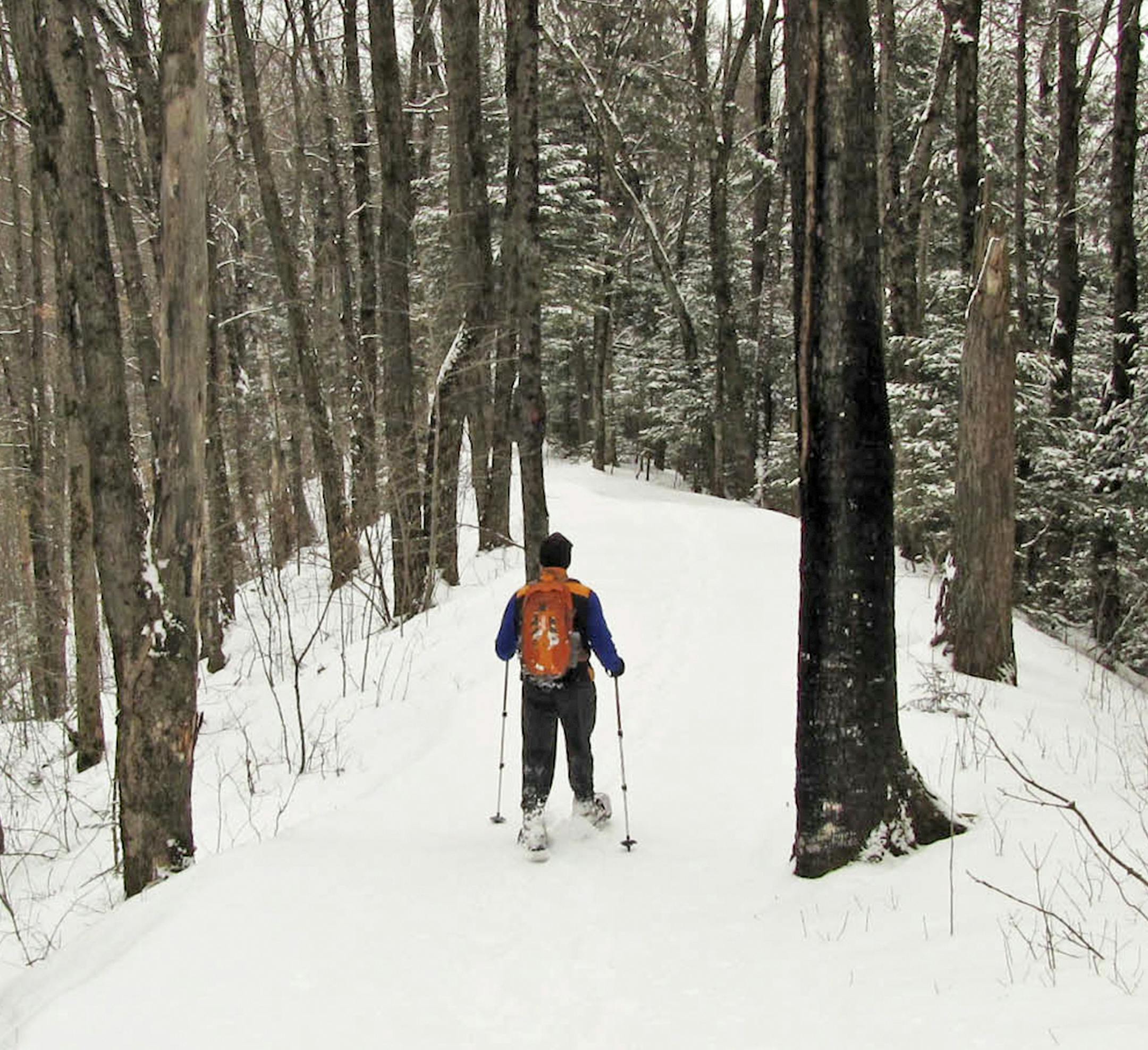 Timm's Hill Trail, in north-central Wisconsin, makes a nice place to snowshoe or cross-country ski.