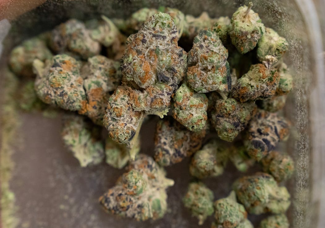 Cadillac Rainbow is one of dozens of strains of cannabis flower available at the Herbana dispensary in Ann Arbor.