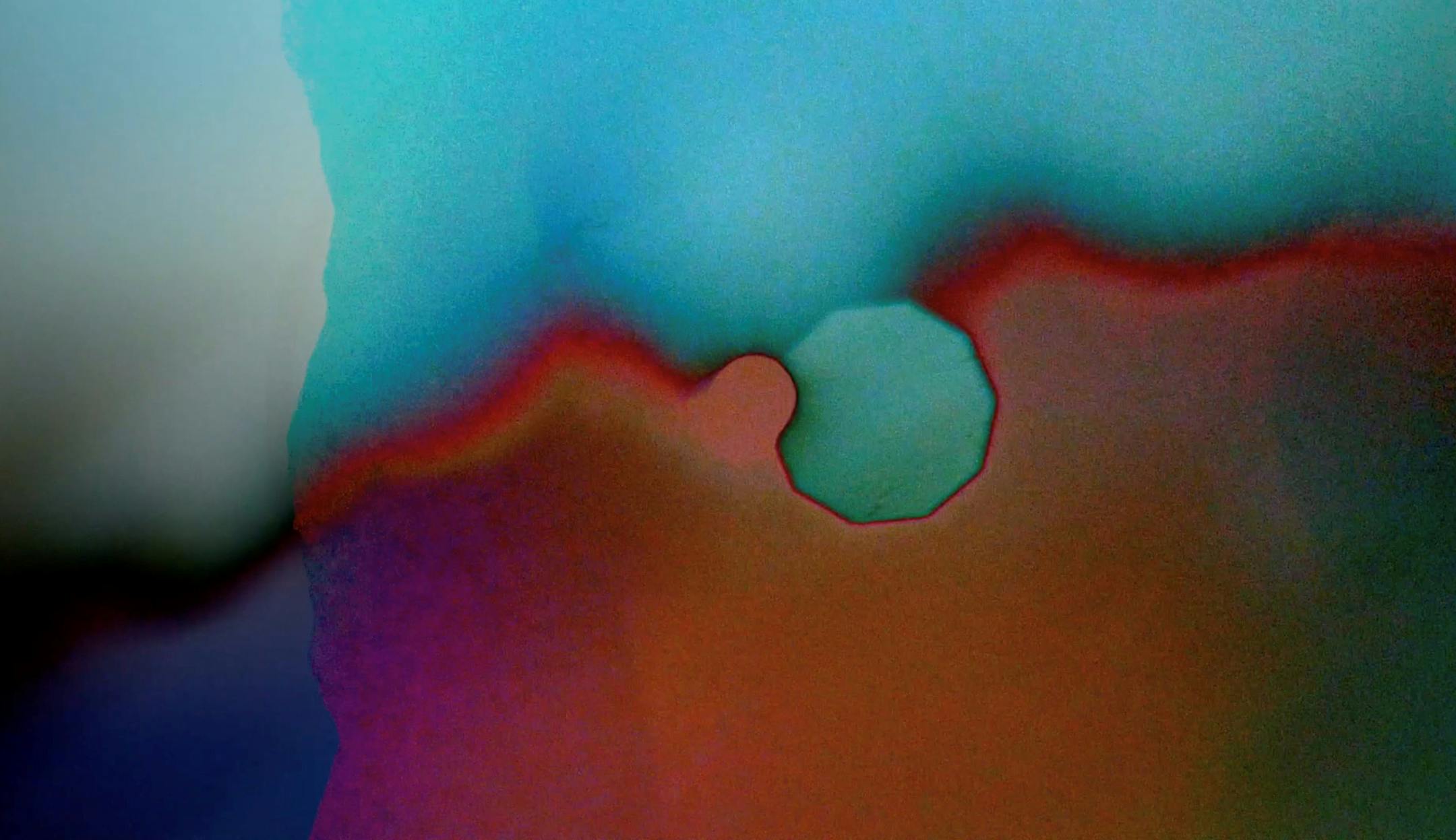 "Fainting Spells" by Sky Hopinka