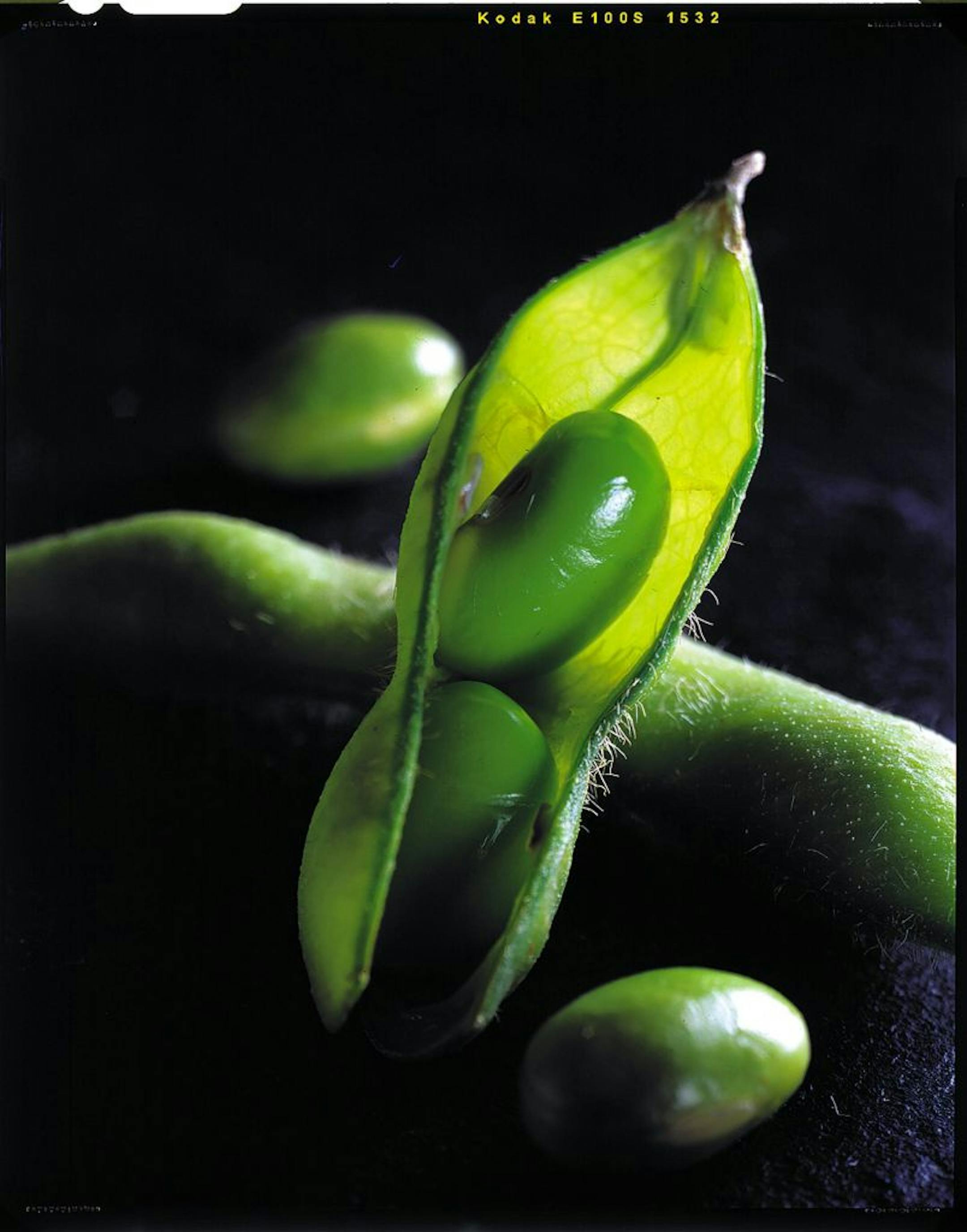 Versatile edamame is often eaten as a snack, but is finding its way into main dishes as well.