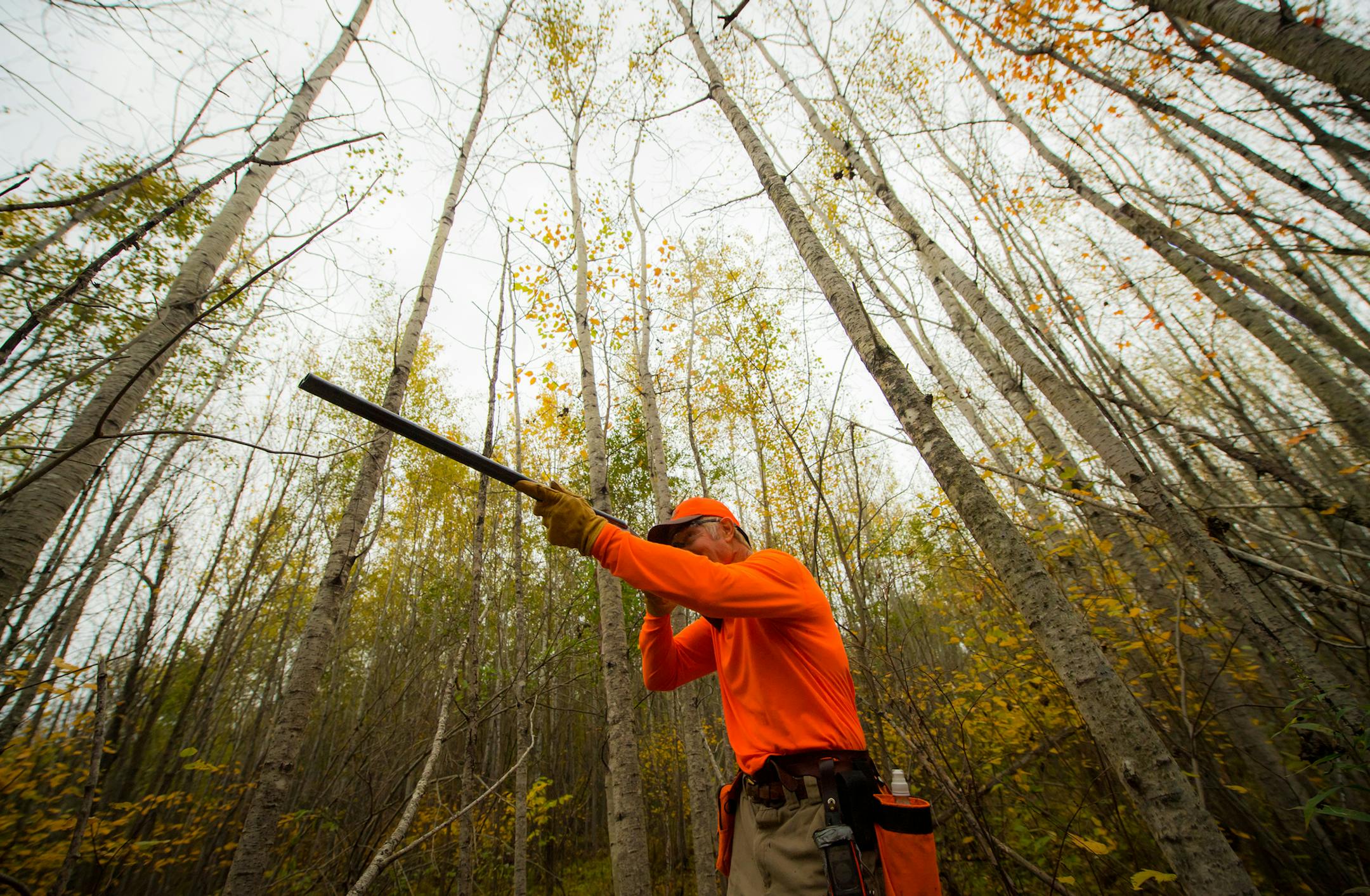 Former Minnesota Viking Keith Nord, a Minnetonka High School and St. Cloud State graduate, has been happiest in his post-athletic career when following one of his three dogs through Minnesota's grouse woods or North Dakota's prairies. Nord has been diagnosed with cancer.