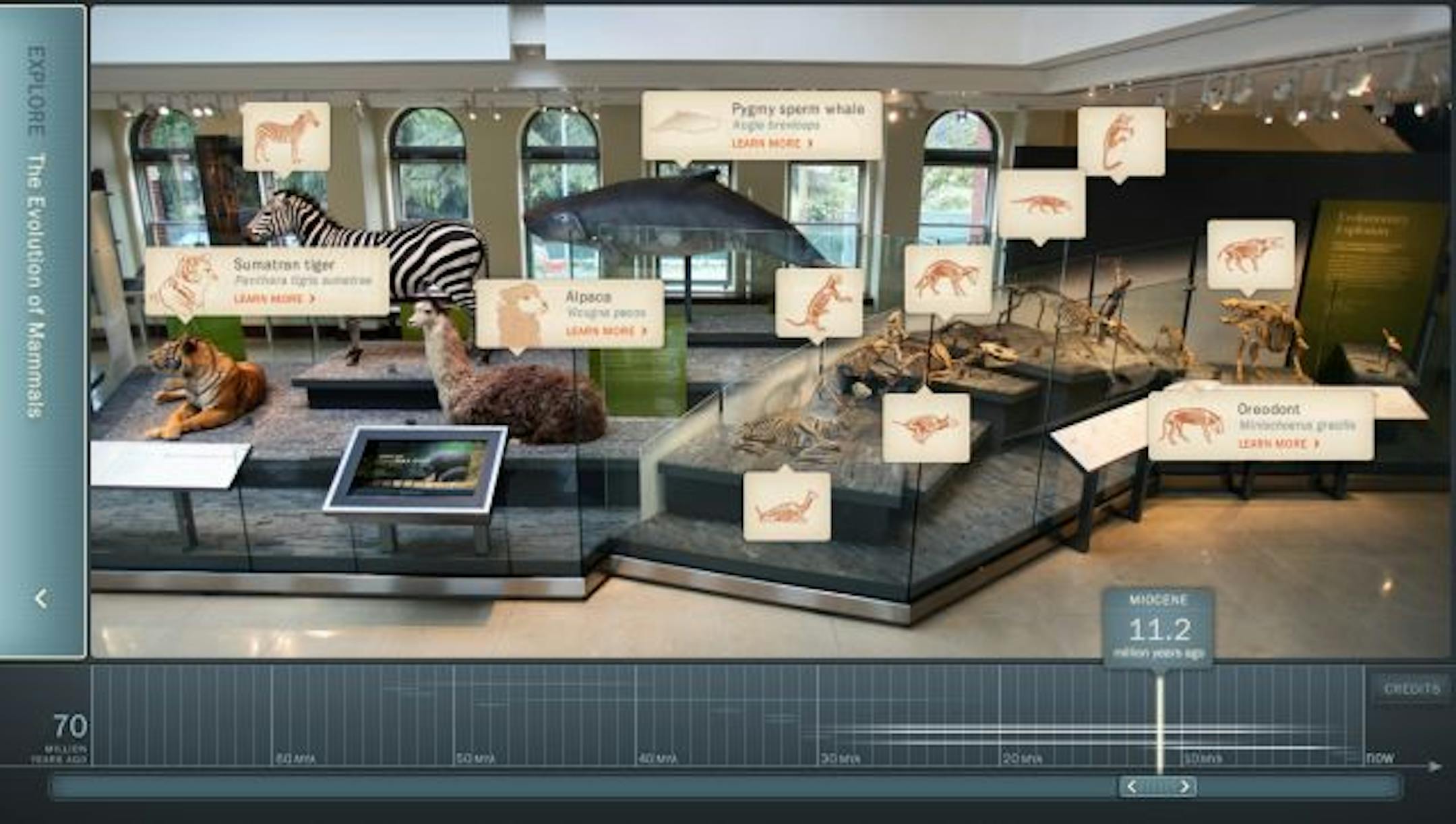 Interactive design, "Age of Mammals," by Julie Beeler, co-founder of Second Story Interactive Studio in Portland, Ore.