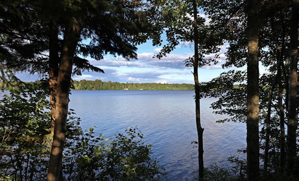 View of Grindstone Lake from western shore. Grindstone Lake is a two-story fishery. Some fisheries can support warm water species and cold -- they are