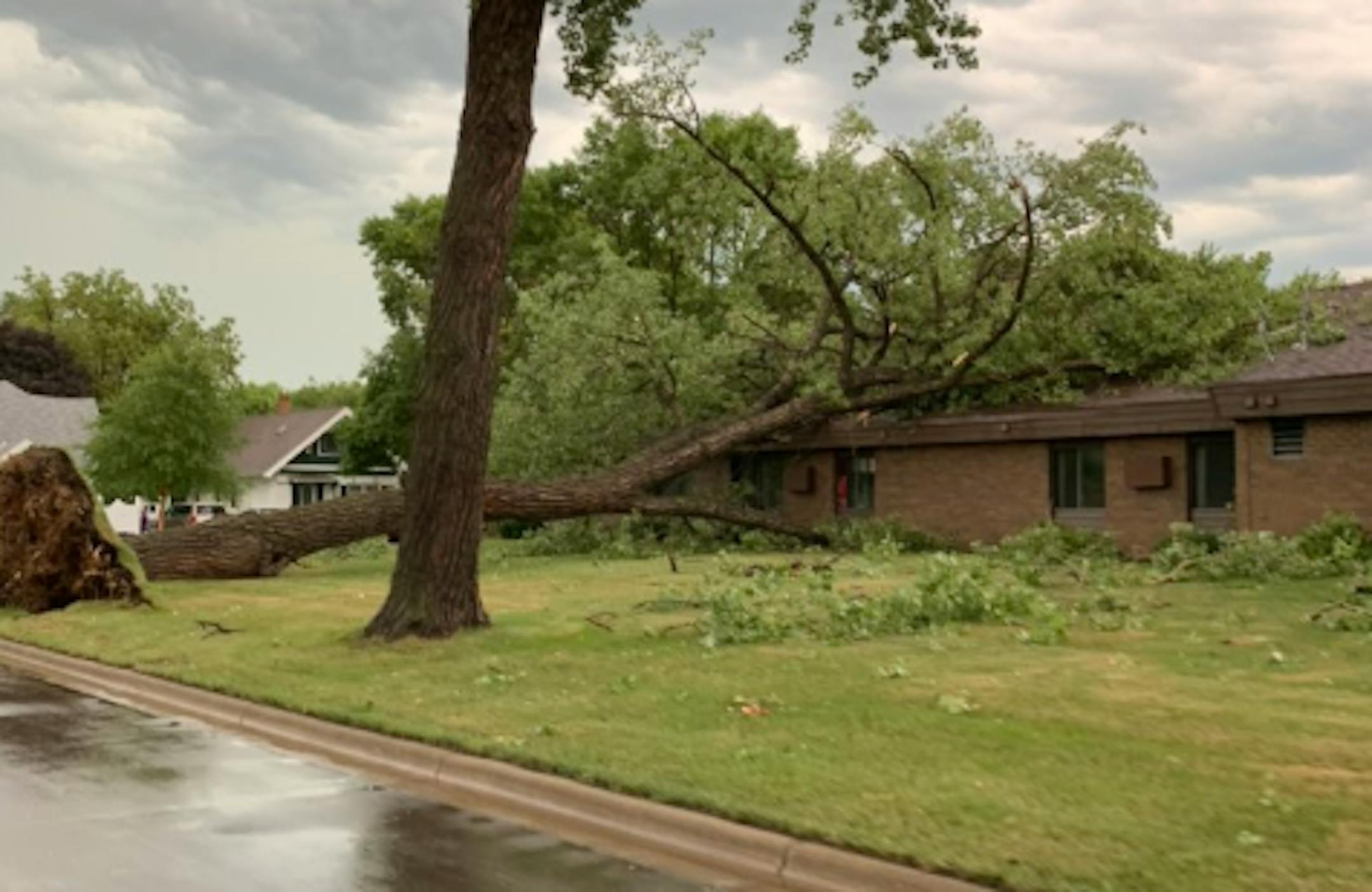A tree landed on a house in Canby, Minn., on Saturday, Aug. 8, after storms with winds of up to 70 mph moved through the region.