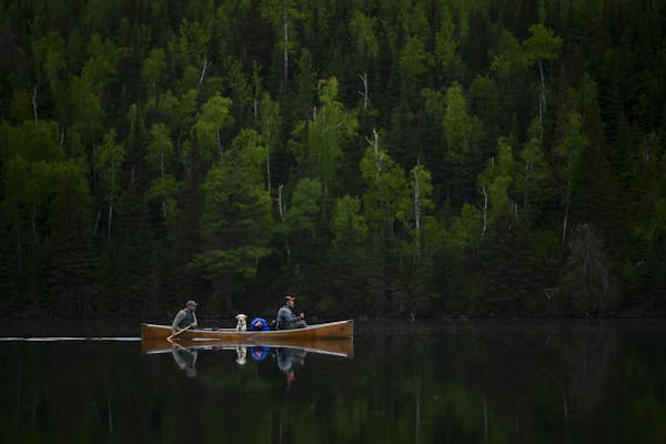 Tony Jones, his dog Crosby, and Bob Timmons paddled from Mountain Lake toward their portages to Moose Lake Friday. ] Aaron Lavinsky ¥ aaron.lavinsky@