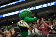 The Edina hornet mascot joined the Xcel Energy Center crowd Friday, when Edina advanced to the title game of the girls hockey state tournament.