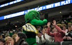 The Edina hornet mascot joined the Xcel Energy Center crowd Friday, when Edina advanced to the title game of the girls hockey state tournament.