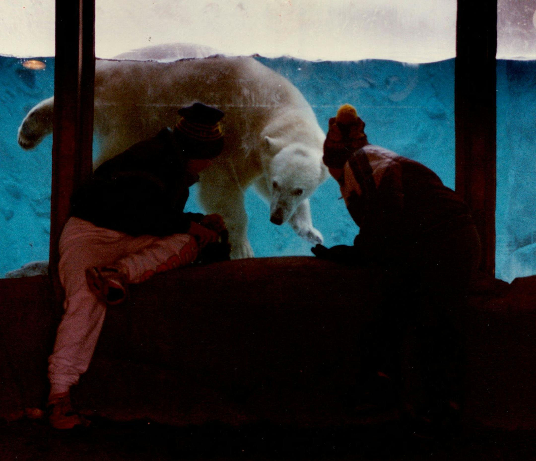 January 2, 1991 Two zoo vistors take a closer look at the polar bears in the underwater veiwing pool at the Lake Superior Zoo Wednesday in Duluth, Mn The polar bears are part of the new Polar Shores exhibit at the zoo.Polar Shores open to the public December 29th also features peguins, harbor seals and otters, photo 2. Magellan penguins which come from Chile. January 4, 1991 Jerry Holt, Minneapolis Star Tribune ORG XMIT: MIN2015051600122566