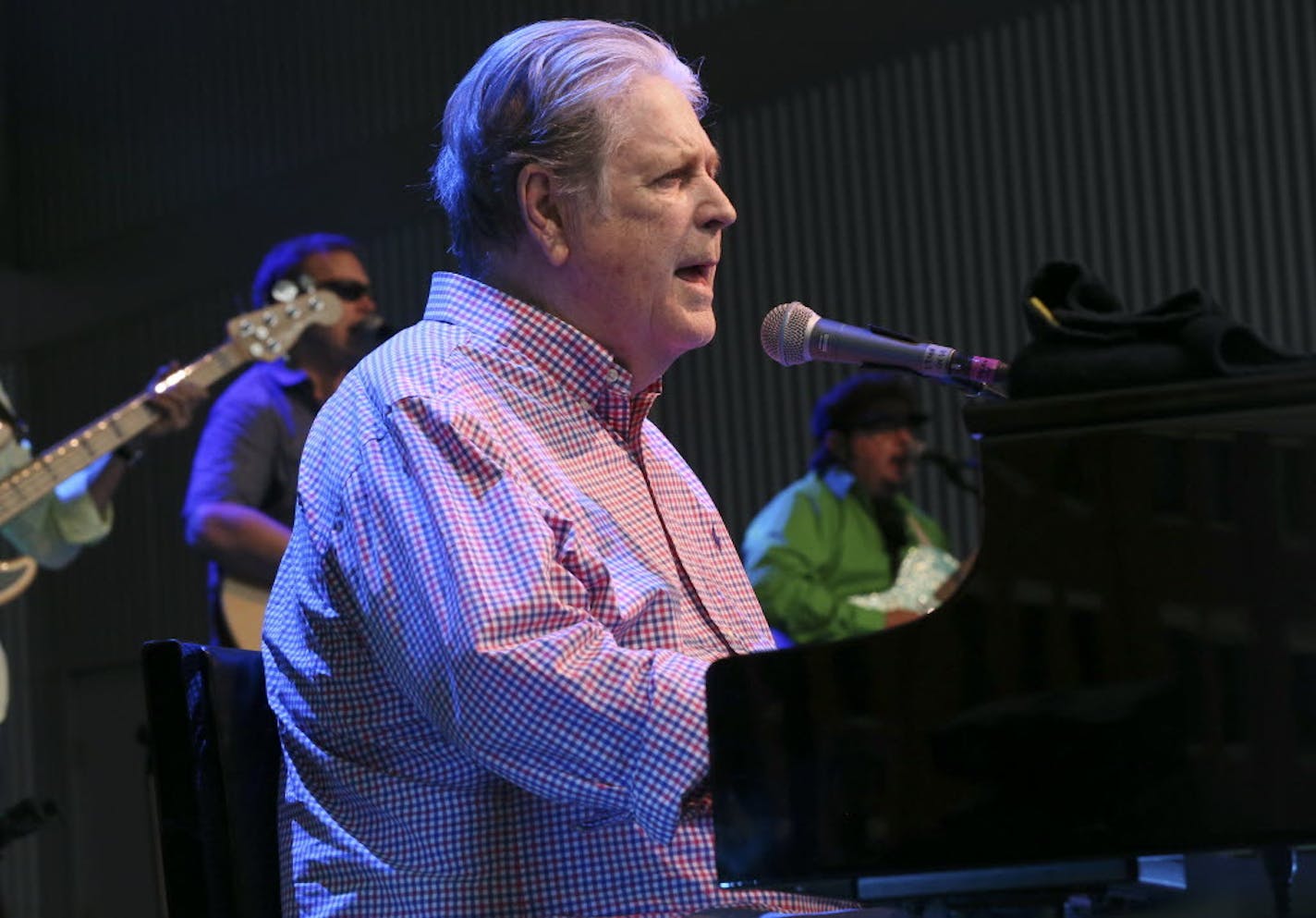 Brian Wilson performs at Elmwood Park Amphitheater in Roanoke, Va., in August.