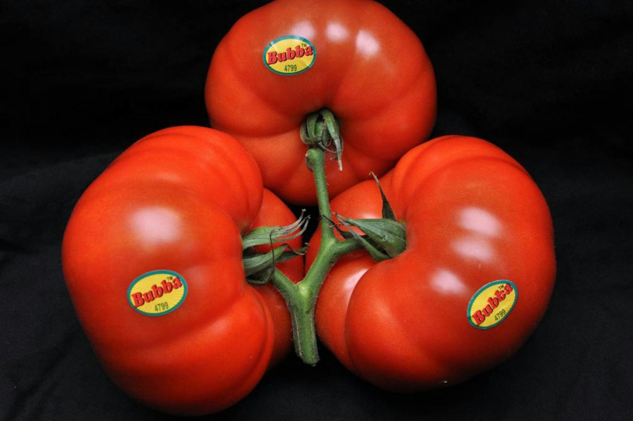 Bushel Boy Bubba tomatoes are grown in Owatonna, Minn.