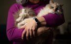 Paula and her 18 year-old cat, Stella, in their new home on April 2 in the Twin Cities. A survivor of domestic abuse, she said she would have left her
