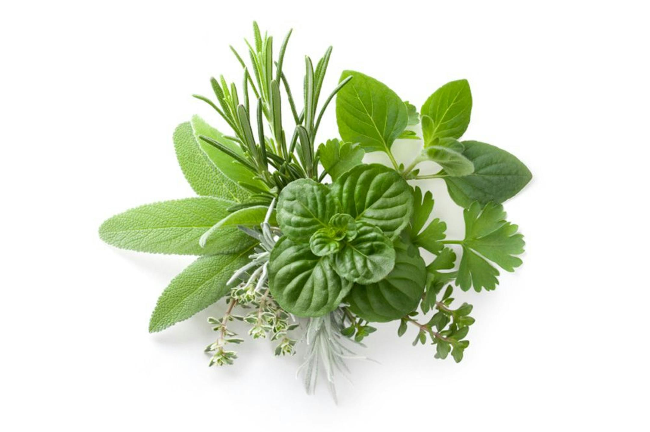 Herbs. from istockphoto.com