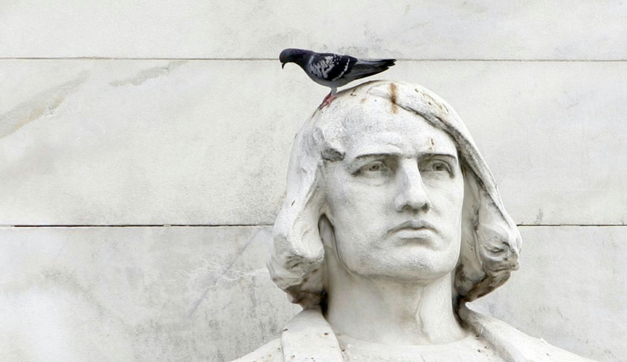 A pigeon sat on a statue of Christopher Columbus.