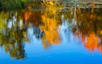 Fall color reflected in the water north of Duluth.