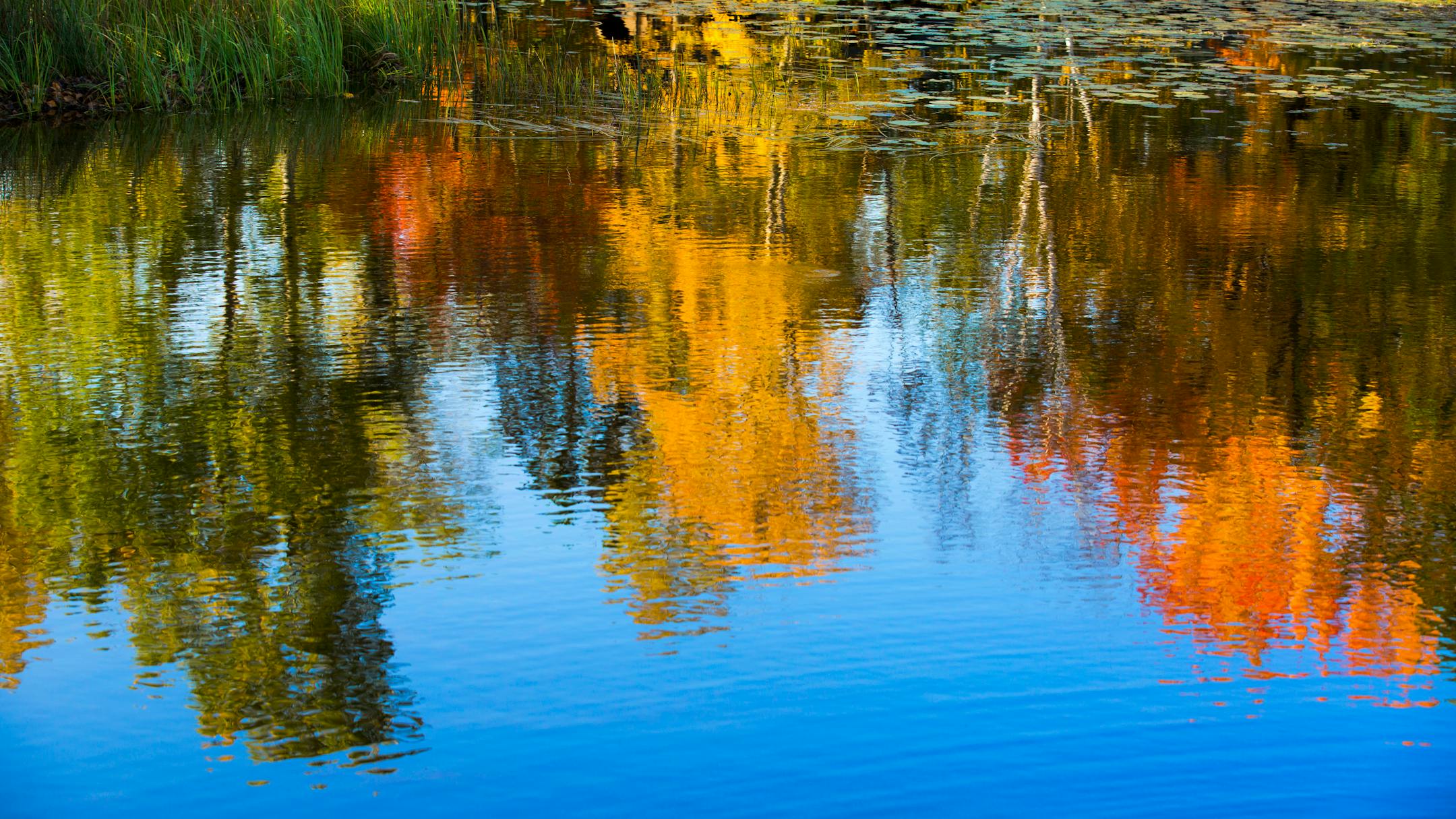 Fall color reflected in the water north of Duluth.