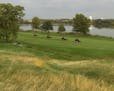 Toro mowers on Hazeltine's 16th fairway with Lake Hazeltine in the background. Course preparation for the 2016 Ryder Cup began soon after the club fin