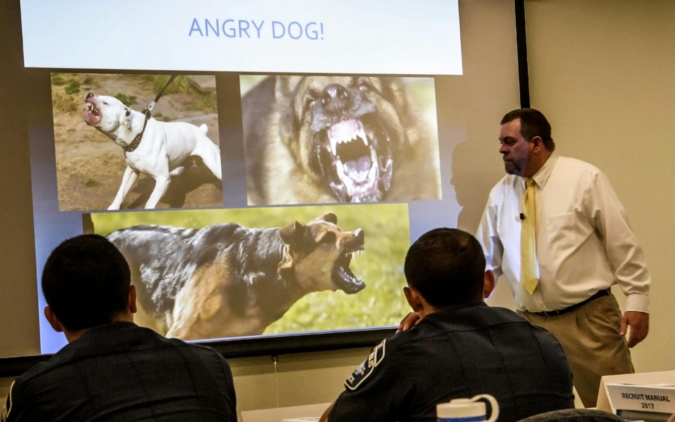 Minneapolis police recruits listened as J. Scott Hill, chief Investigator for Montgomery Alabma's humane officer division, talked about how to know if a dog is a threat. As he spoke, Wilbur, a 6-year-old pit bull type dog walked through the class. Wilbur was there with Shannon Glen who also trains groups on dog safety. ] GLEN STUBBE ï glen.stubbe@startribune.com Monday August 21, 2017 Minneapolis police recruits will meet with dog trainer and national leader of "My Pitbull is Family" Monday