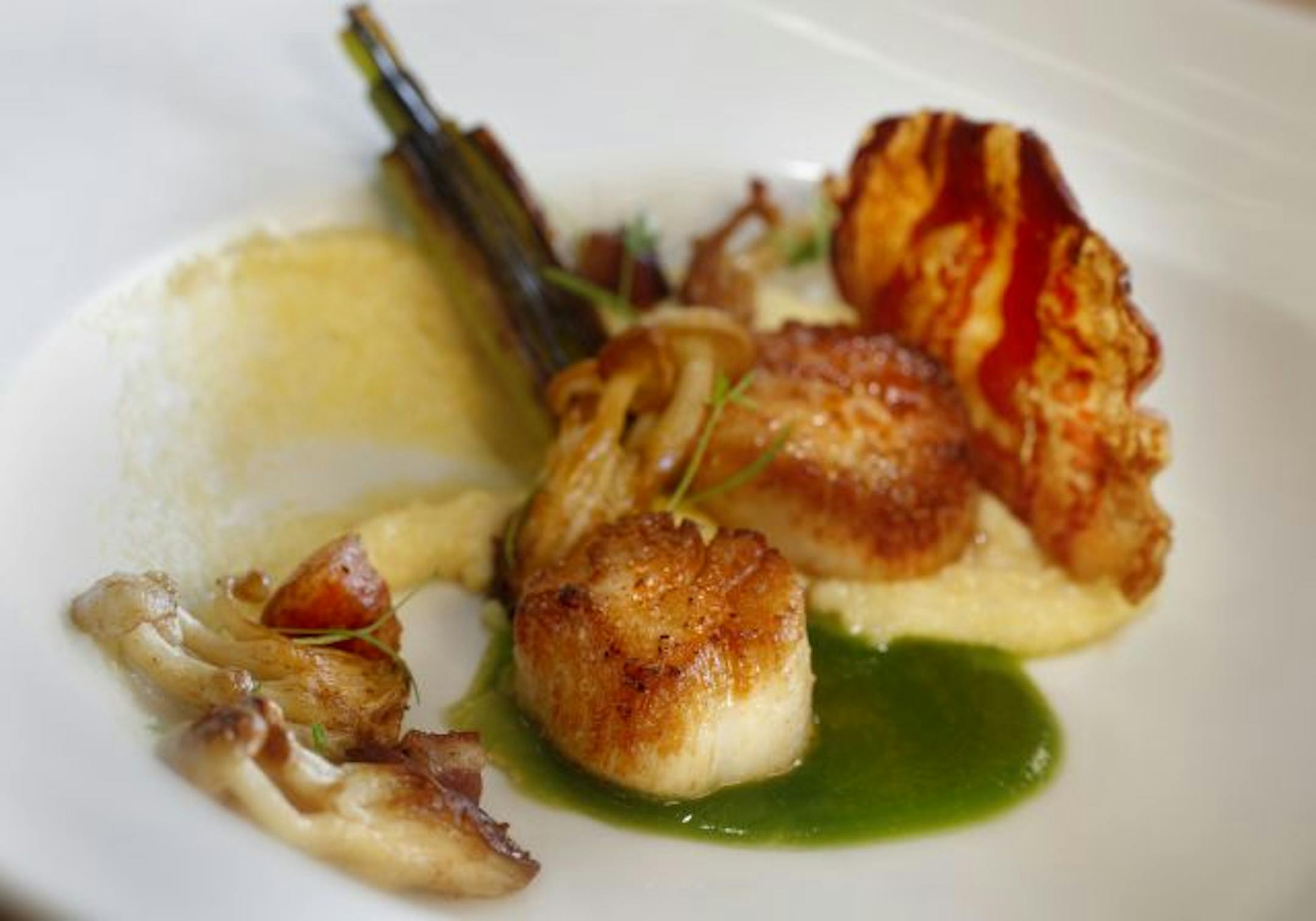 Sea scallops at Travail.