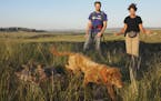In this Thursday, June 22, 2017 photo, Karen DeMatteo, right, and Sam Wilson signal to her dog, Train, , in Fort Robinson State Park, Neb. (David Hend