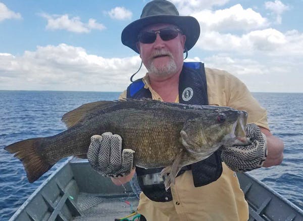 New Minnesota Fisheries Chief Brad Parsons with a Mille Lacs smallmouth bass handled this spring during fish population field research