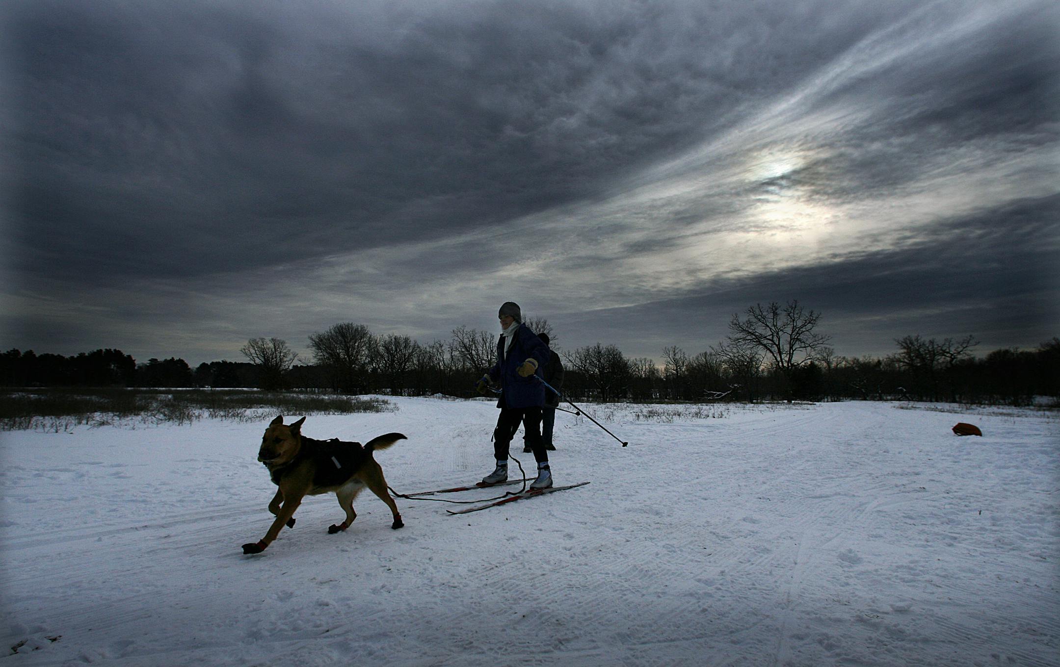 Skijoring in Bunker Hills Regional Park.
