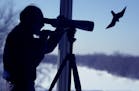 Thel Great Backyard Bird Count begins Friday and continues through Monday.