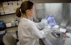 Lab Specialist Elizabeth Cebelinski used new technology as she tested for the cyclospora parasite at the state Health Department, Monday, June 18, 201