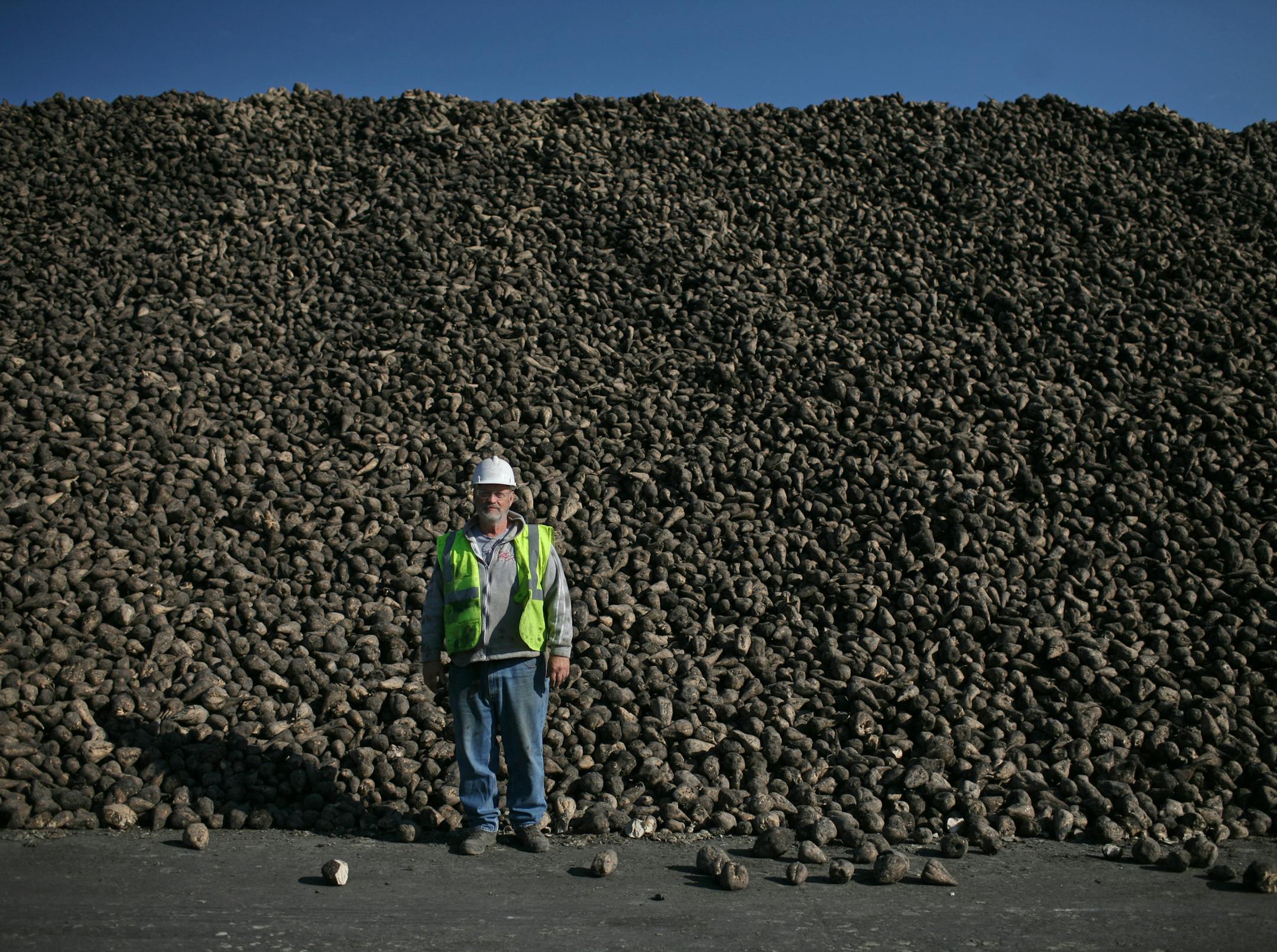 Gary Stanton at the American Crystal Sugar beet delivery site in Oslo, Mn. where Stanton works as a temporary supervisor during the harvest. Here he stands next to a very small section of beats at the Oslo site. ] Every fall, the northwest Minnesota prairie comes alive with trucks hauling sugar beets -- and expensive RVs housing retirees working long hours to bring the beets in. Photo: David Denney ‚Ä¢ ddenney@startribune.com 10/10/2014 Oslo, MN