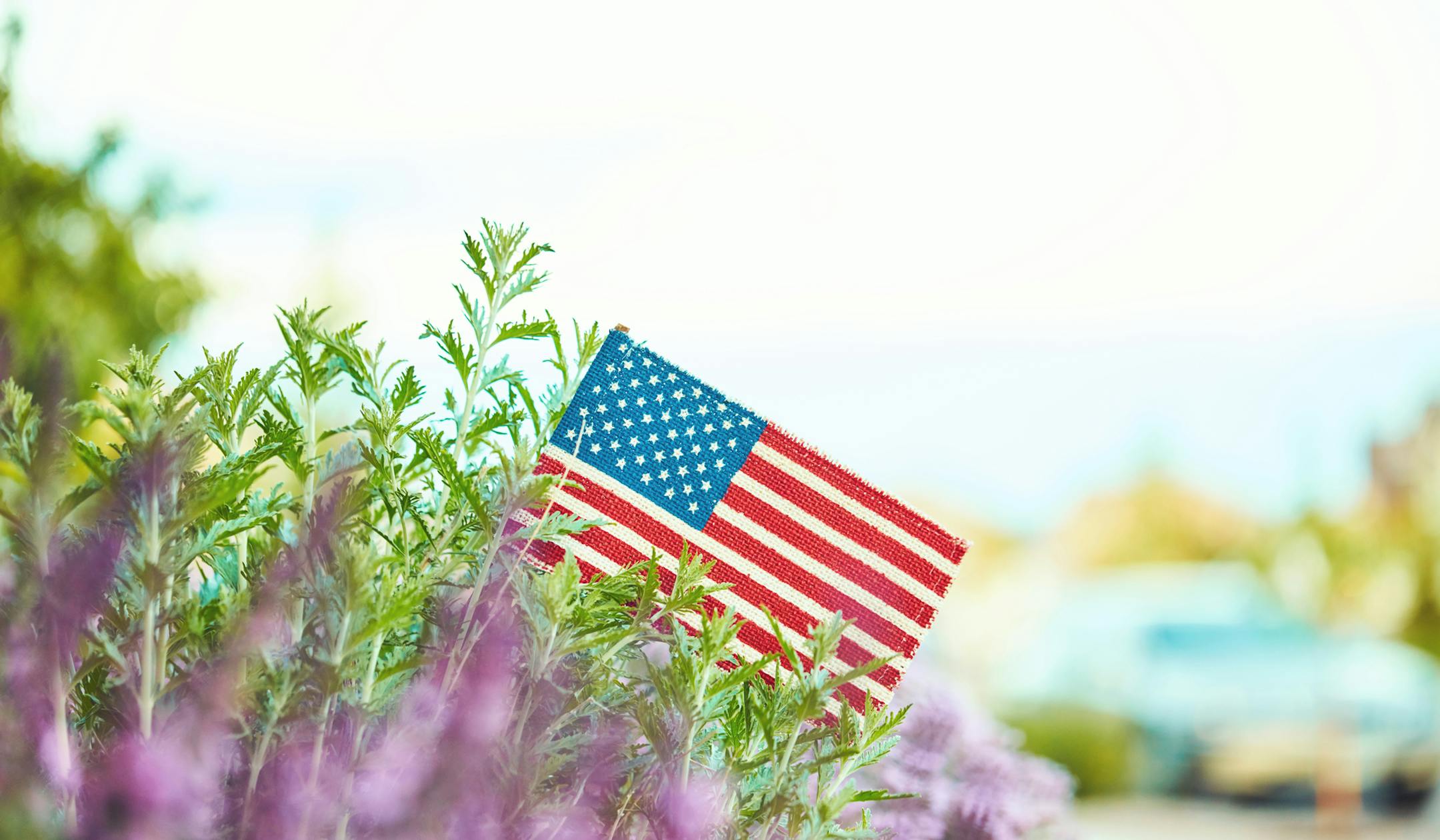 American flag in nature with copy space