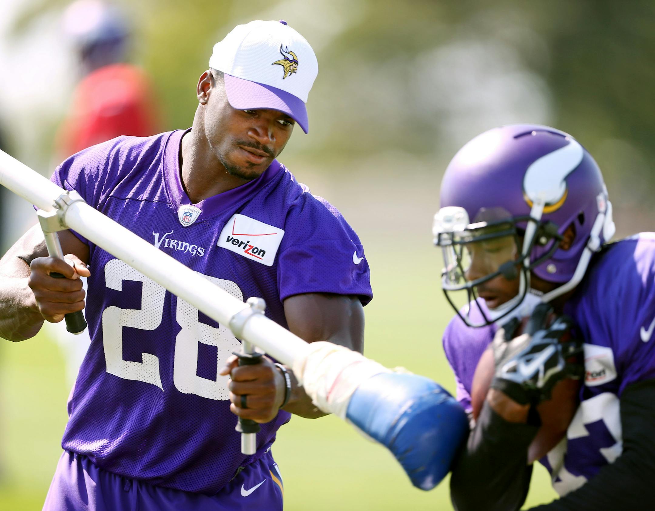 Adrian Peterson tried to knock the football from Dominique Williams hands at Minnesota State University Mankato Wednesday August 12, 2015 in Mankato, MN. ] Jerry Holt/ Jerry.Holt@Startribune.com