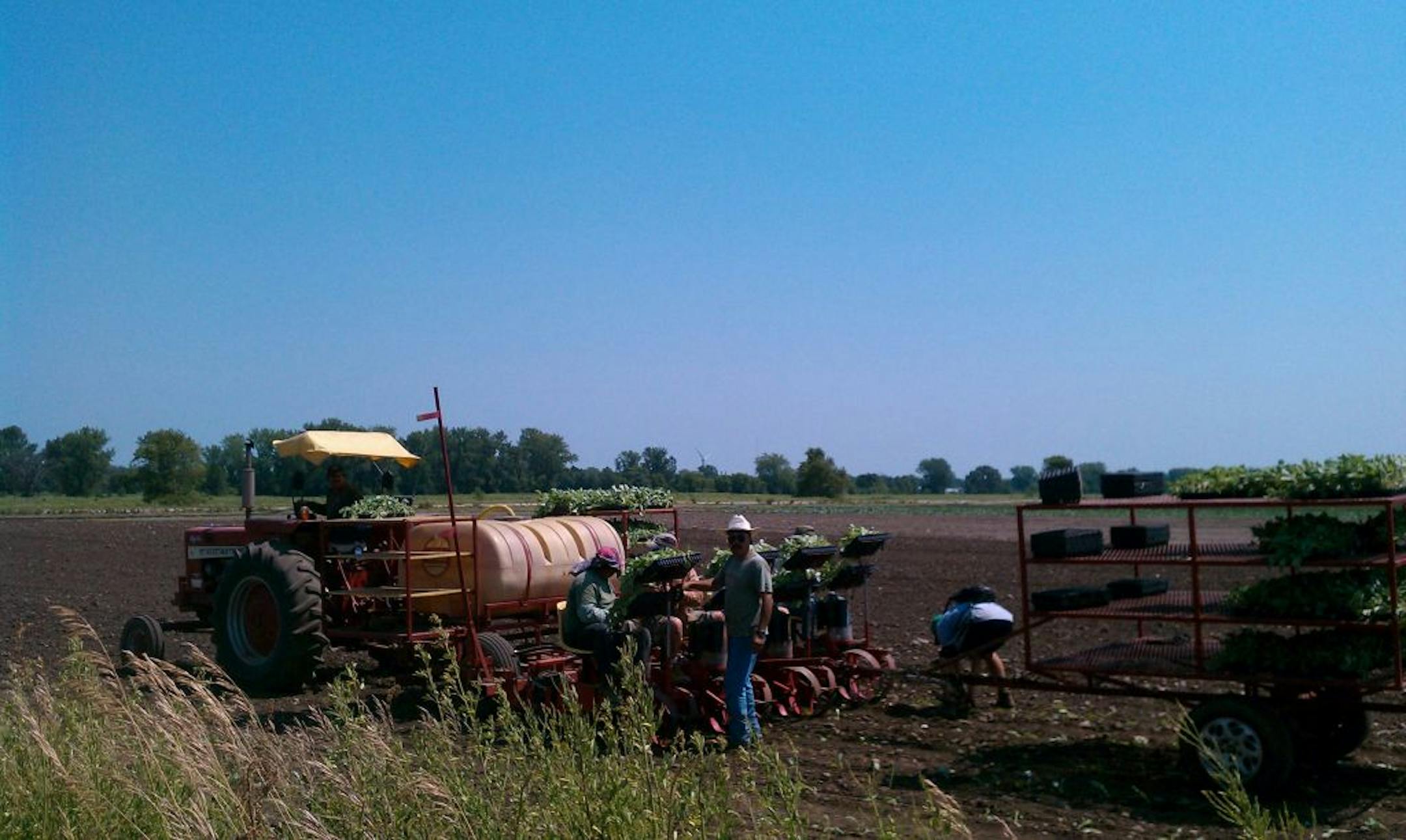 Credit: Rick NelsonWorkers at Pahl's Farm in Apple Valley hard at work.