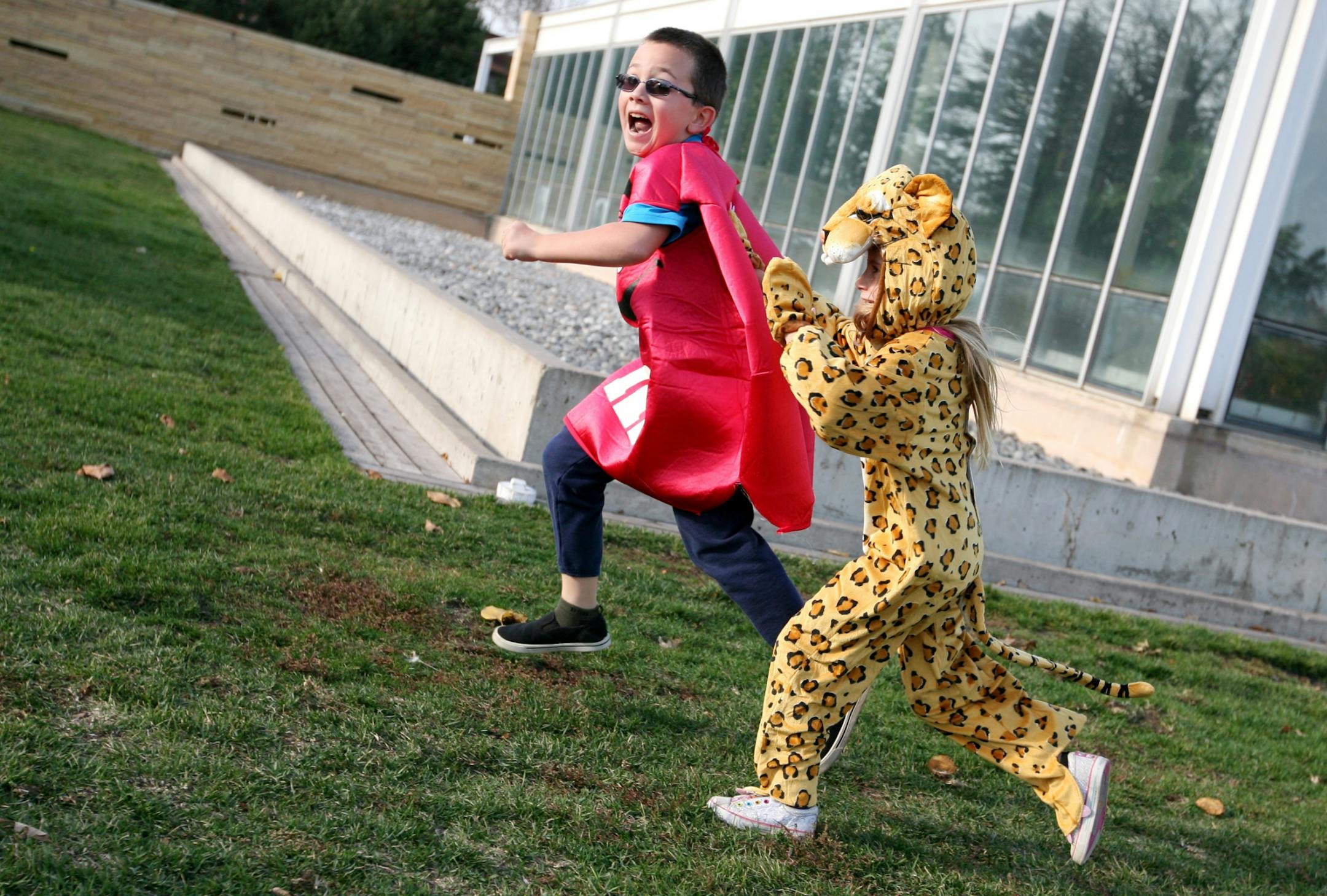 Leopard Anna Mae Anderson, 5, of Lino Lakes chases M&M Kayden Harris, 8, of Ramsey at ZooBoo at Como Zoo in St. Paul October 21, 2012.