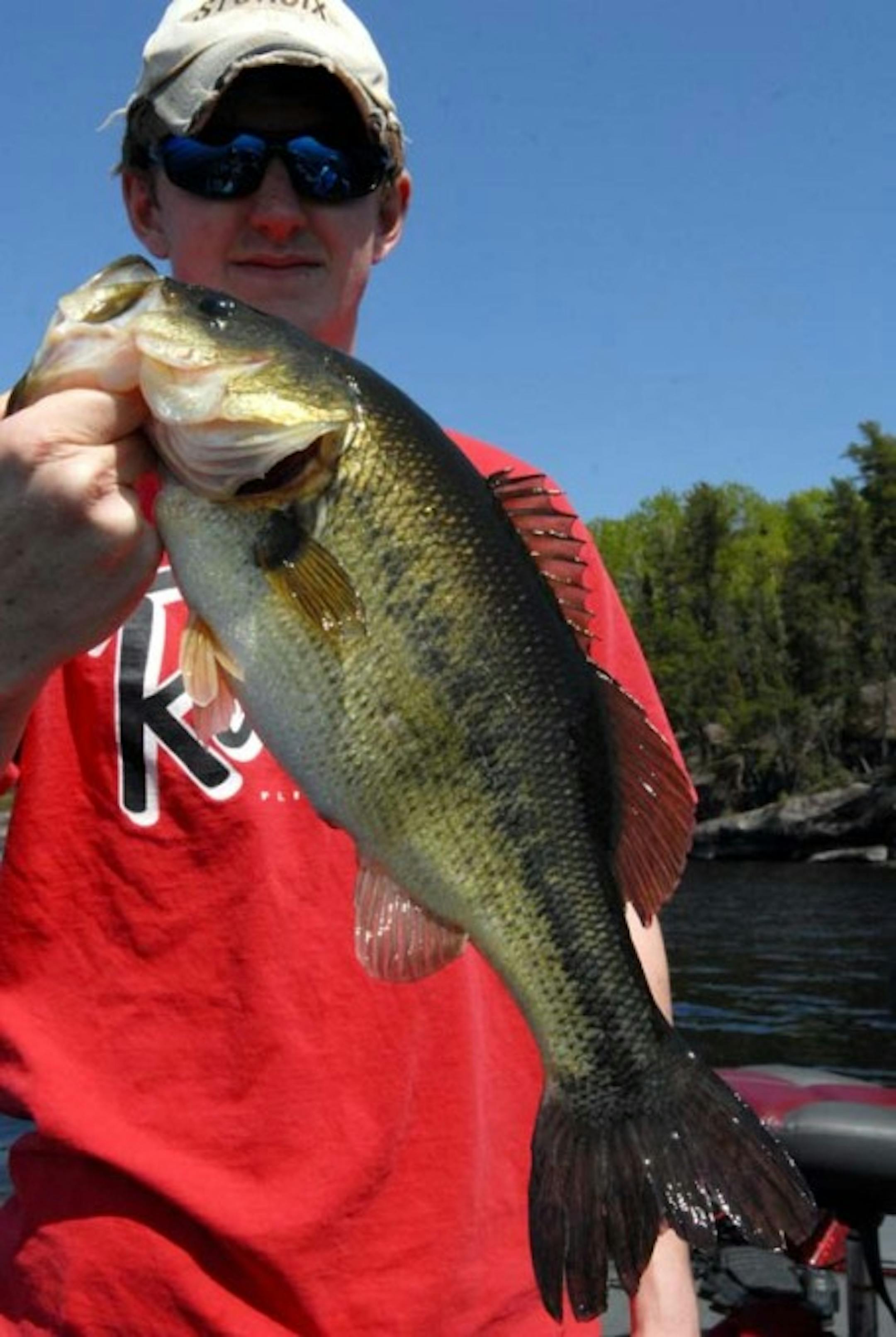 A 4 pound Largemouth caught by the author this spring.