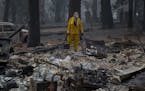 Search and rescue teams look for the remains of victims in the aftermath of the Camp Fire in Paradise, Calif., Nov. 16, 2018. The Butte County sheriff