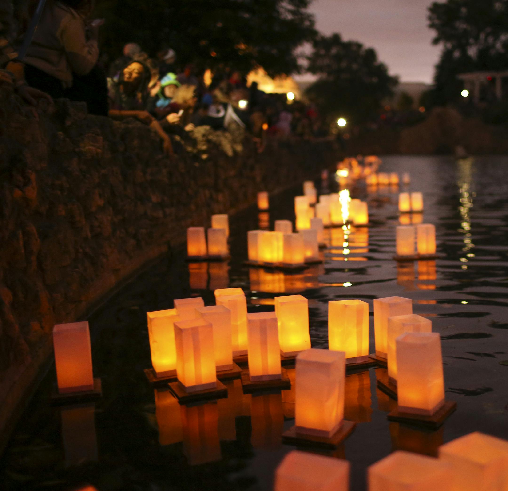 Lanterns floated in the pond at Como Park at dusk Sunday night. ] JEFF WHEELER ï jeff.wheeler@startribune.com The annual Japanese Lantern Lighting Festival took place before a crowd of thousands gathered at dusk around the pond near the conservatory at Como Park Sunday night, August 23, 2015.