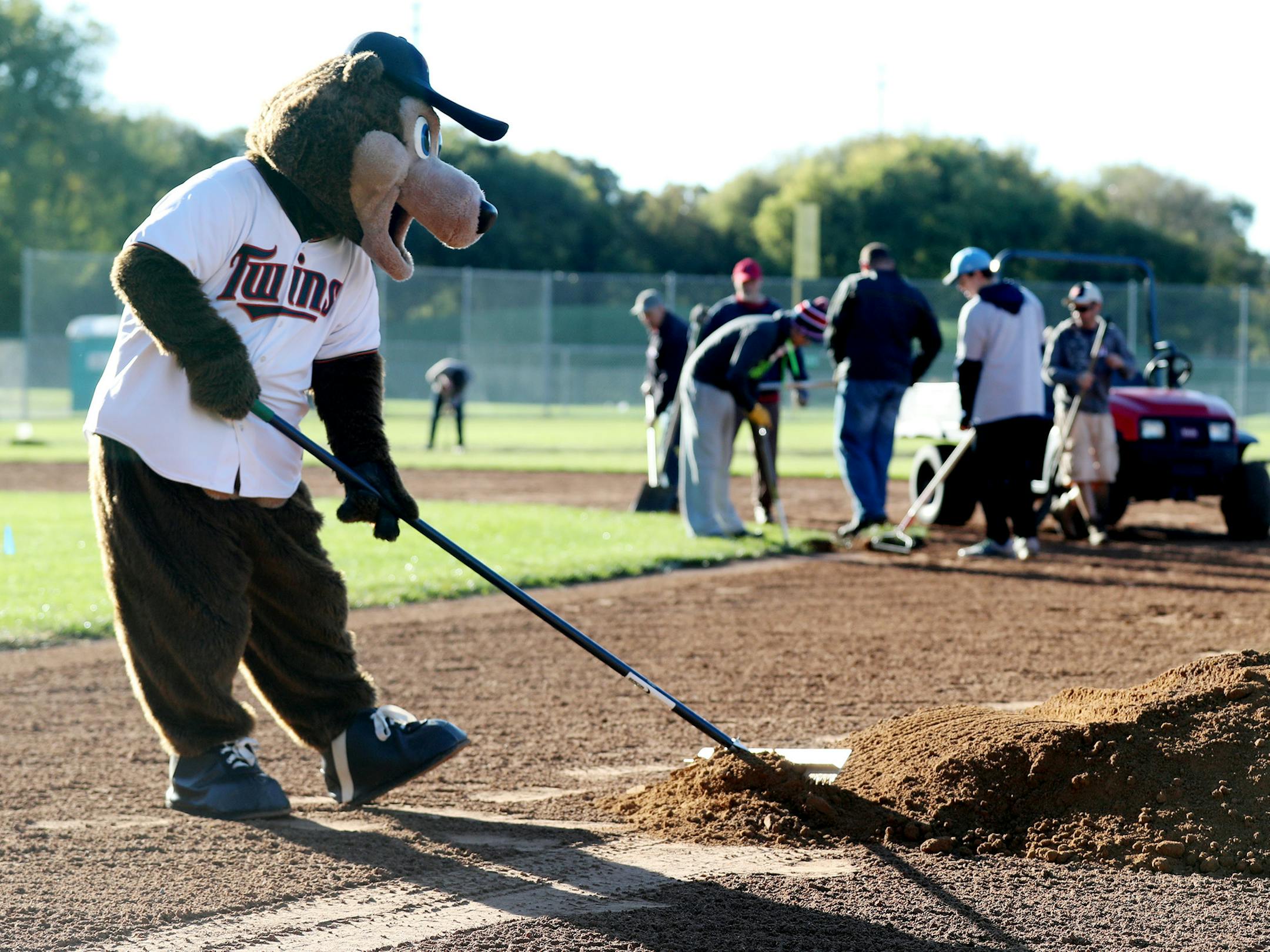 About 60 volunteers from Toro, the Minnesota Twins and the City of Burnsville worked repairing bullpens, rebuilding pitchers' mounds, adding new sod, painting dugouts and more on three ball fields at Dakota Park Wednesday, Oct. 4, 2017, in St. Louis Park, MN. Here, TC Bear, the Minnesota Twins mascot, grabbed a rake and moved dirt around on the baseball field infield.] DAVID JOLES ï david.joles@startribune.com The Toro Company and Minnesota Twins are banding together to fix three baseball f
