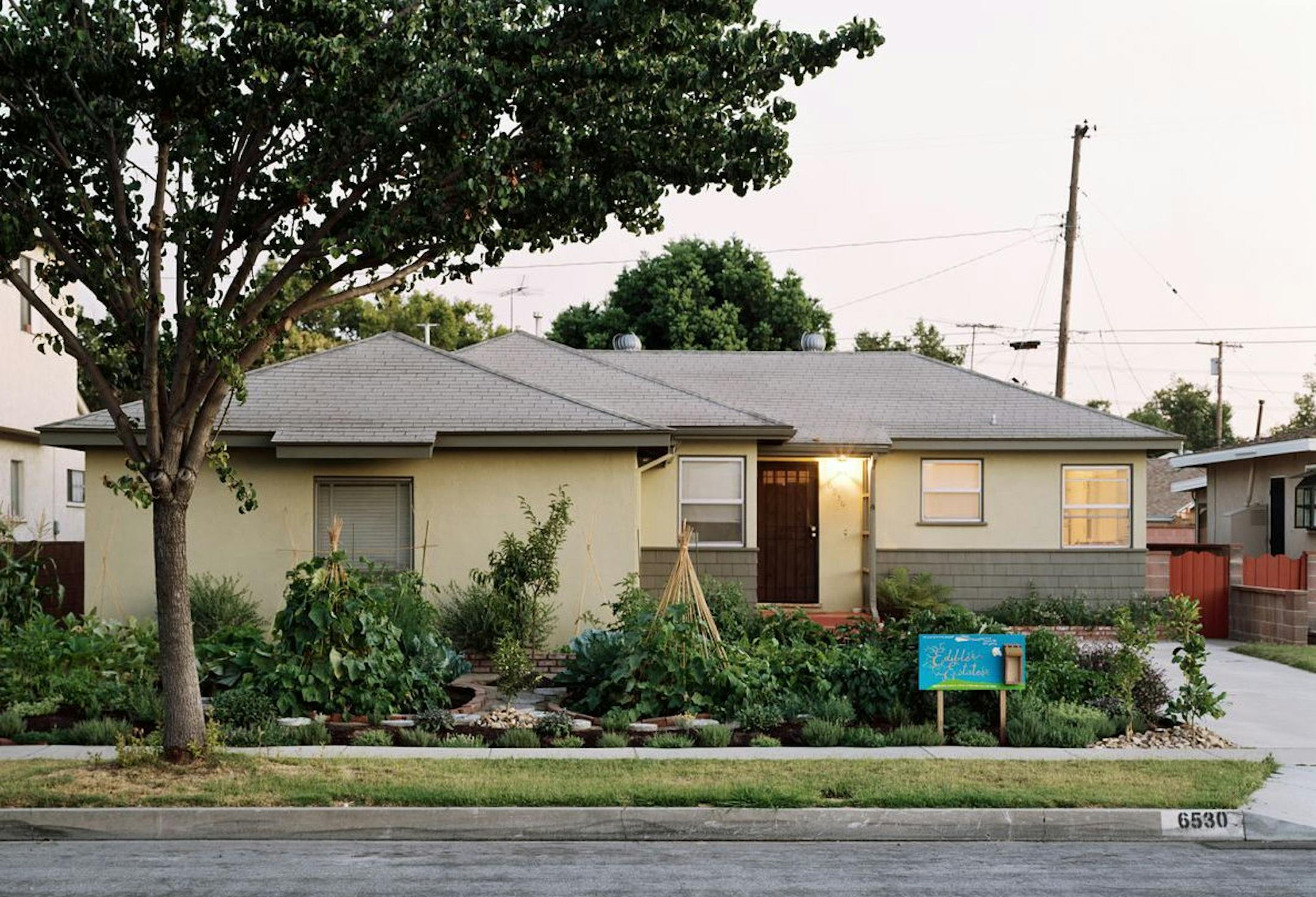 AFTER: Edible landscape in Lakewood, Calif., created by Fritz Haeg as part of Edible Estates.