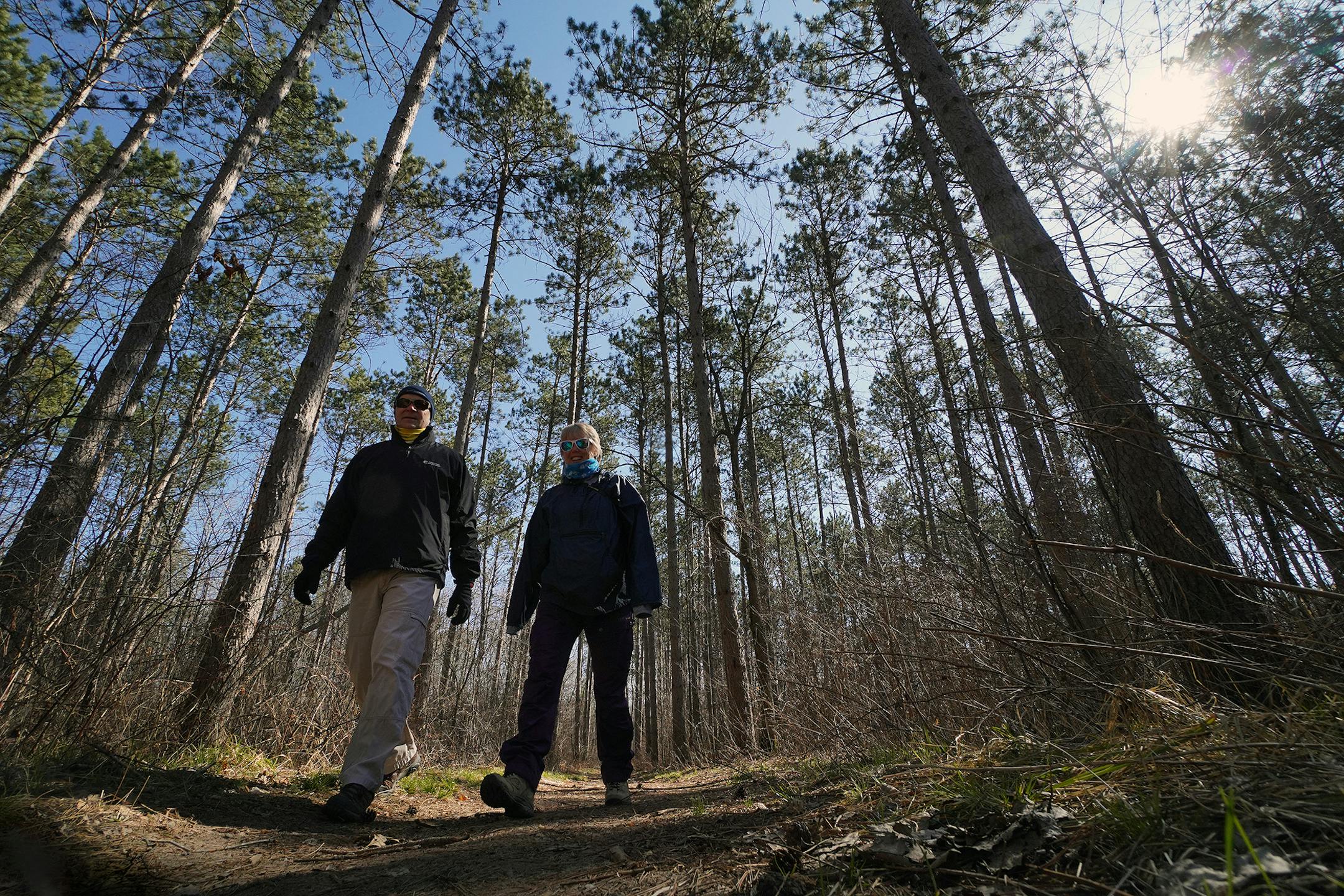 Jon and Linneah Asp of Minneapolis found space and isolation Tuesday morning on a walk among the towering red pines on the Deer Creek Loop trail in Wild River State Park.