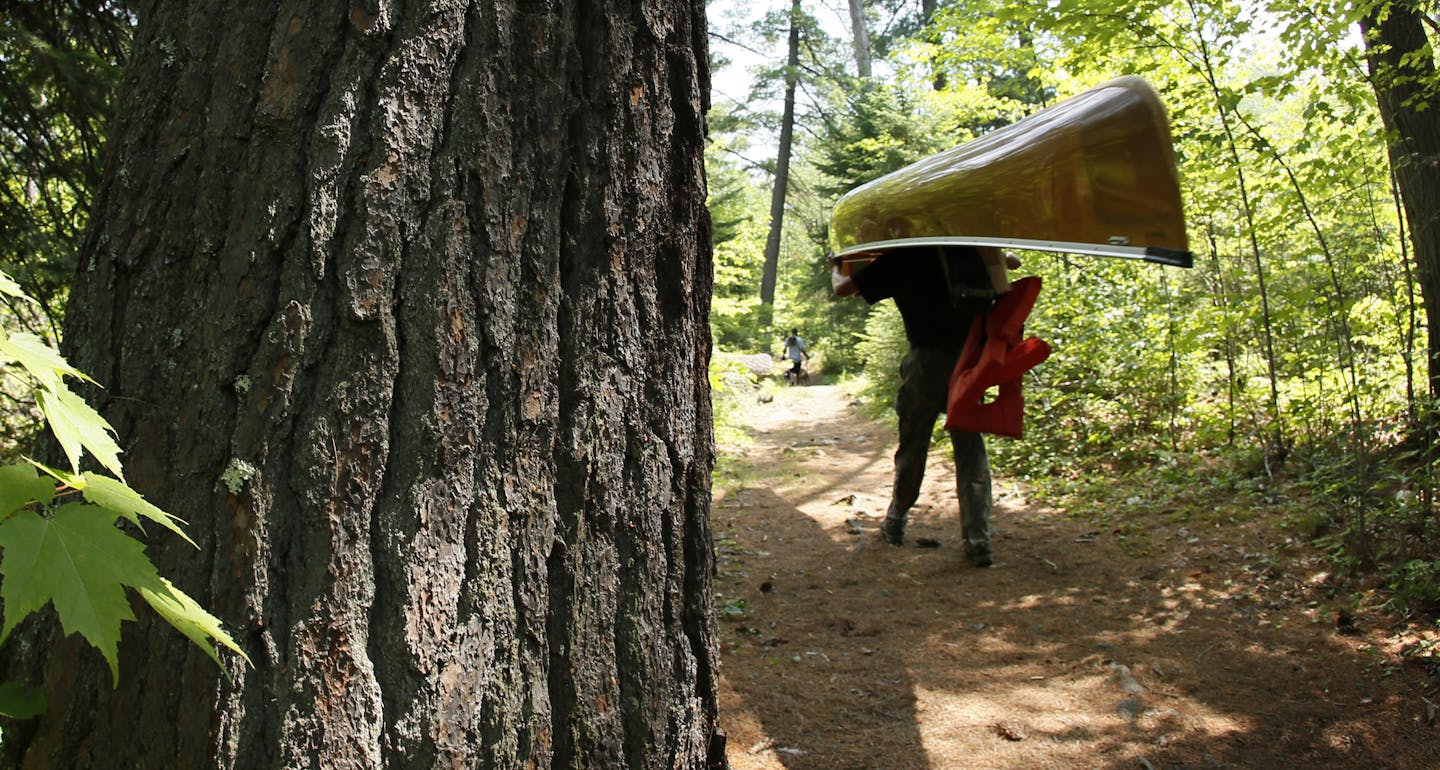 Possible rail photo for Climate Change project. ] BRIAN PETERSON &#x201a;&#xc4;&#xa2; brianp@startribune.com BWCA, MN - 10/01//2013