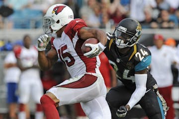 Michael Floyd (15)