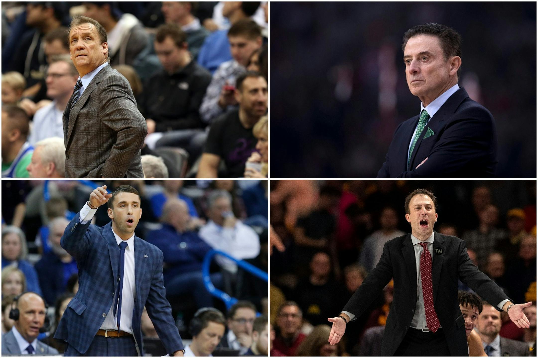 The coaching tree is strong among the Saunders and Pitino families. But surname alone doesn't mean a thing.