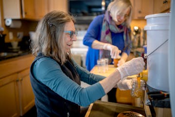 Minnesota volunteers are trying to help save bees, one jar of honey at a time