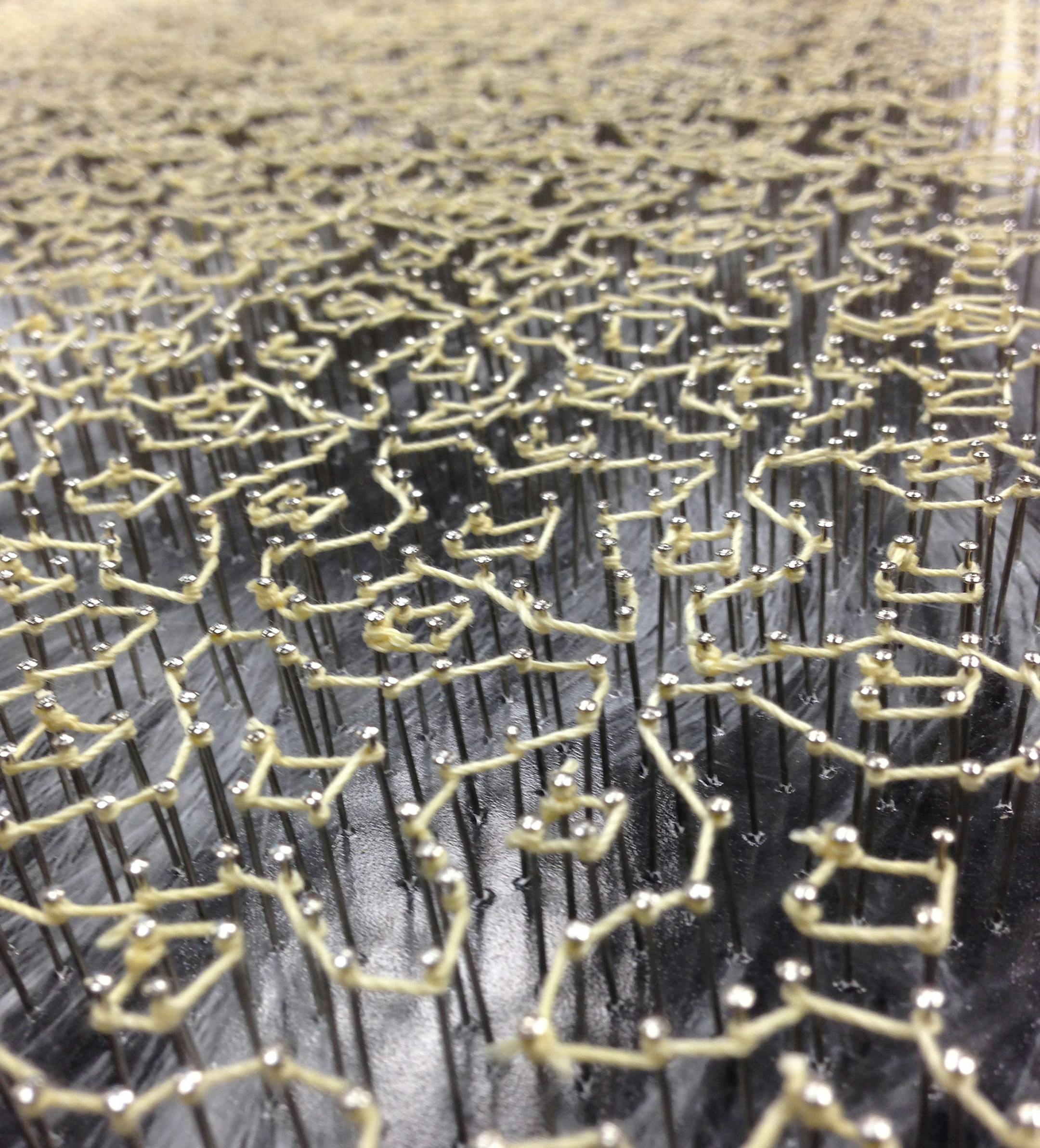 Jessica Points, Maplewood, self portrait, winner in the 2013 Congressional Art Awards. Artwork detail