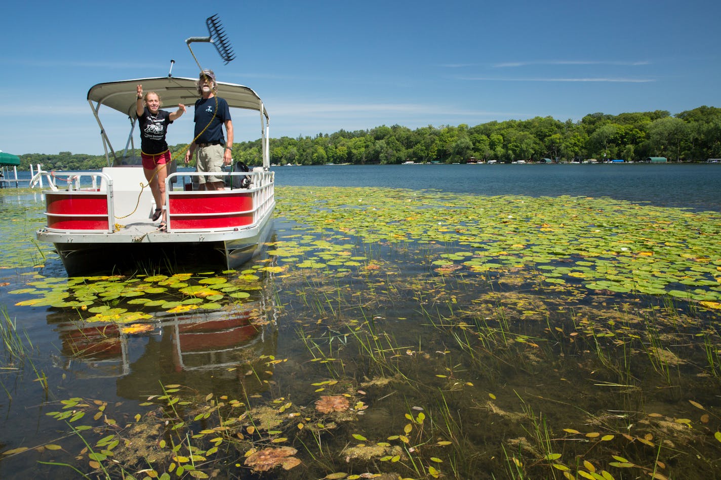 University of Minnesota fisheries researcher Ray Newman (right) and a student collect plant samples on Christmas Lake in 2015. Photo by David Hansen of the University of Minnesota.