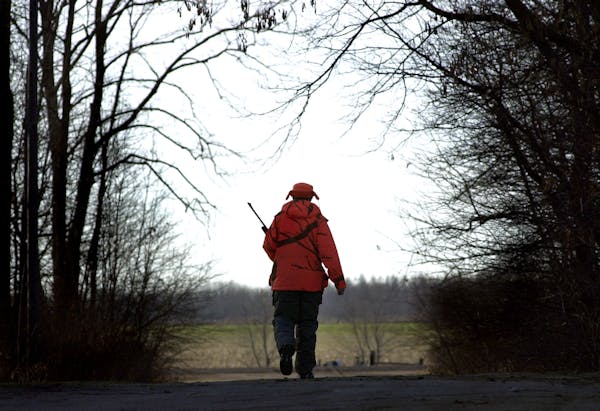 Chilly weather and low deer population hampered this year's firearms opener in Minnesota.
