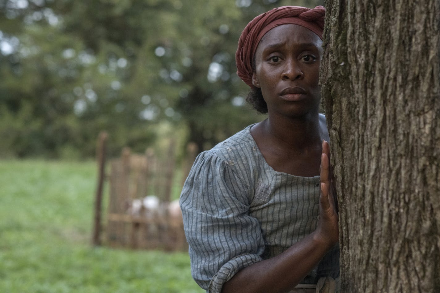 4130_D002_00630_R
Cynthia Erivo stars as Harriet Tubman in HARRIET, a Focus Features release.
Credit: Glen Wilson / Focus Features