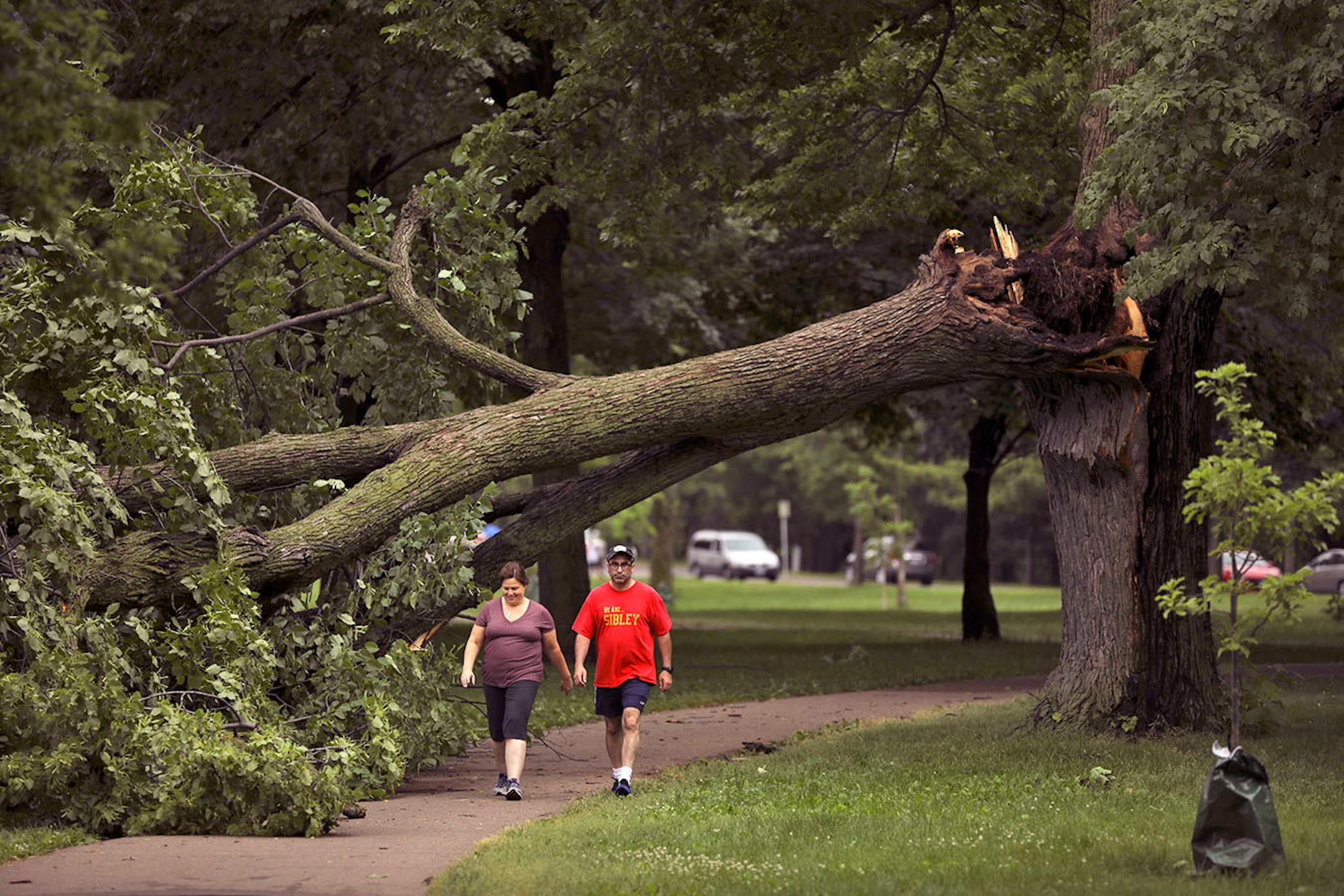Ann and Mike Williams walked under a tree that fell over the path around Lake Nokomis Sunday afternoon.