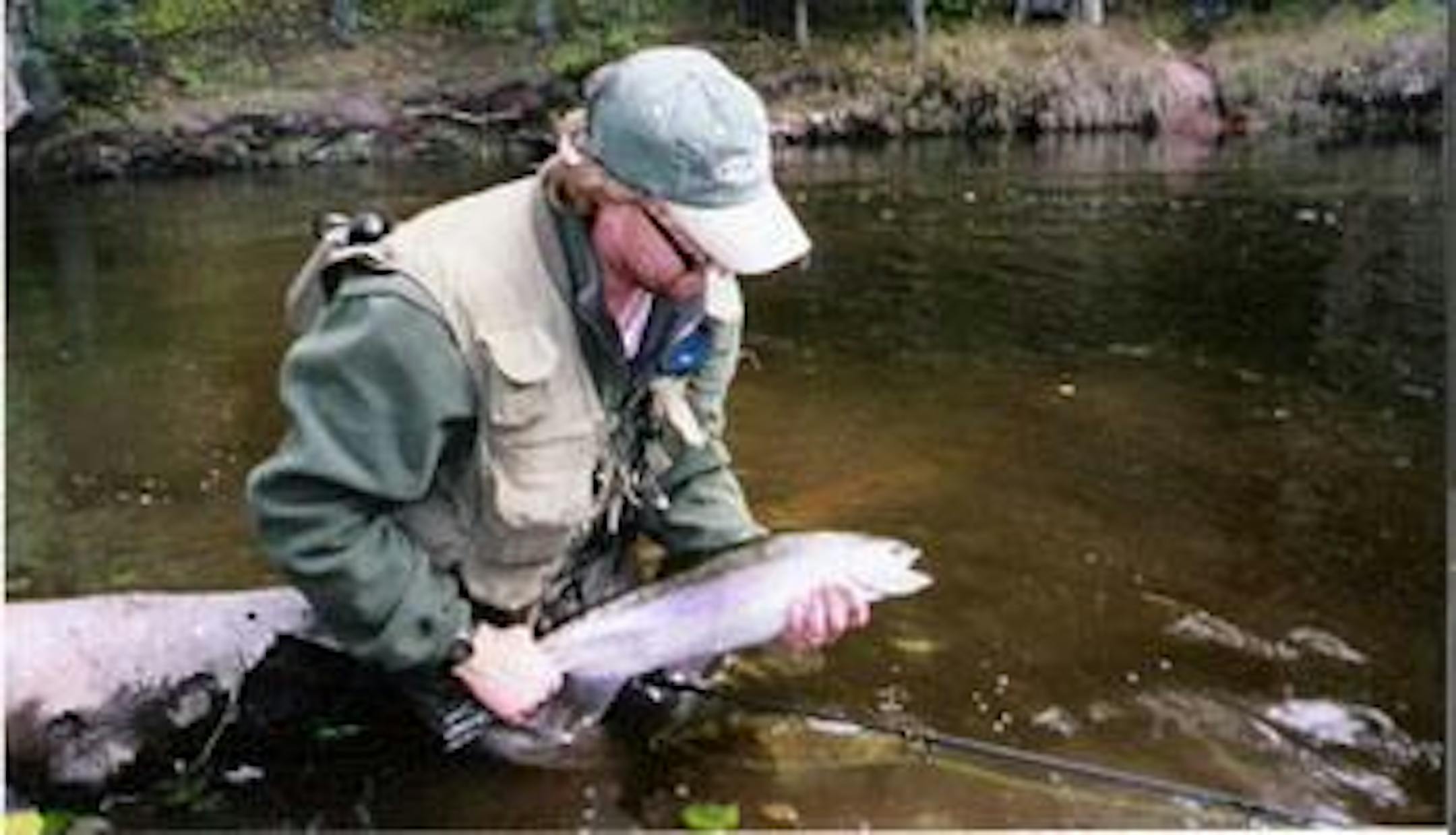 Brian Stewart with a wild steelhead.